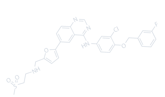 شرکت Jiangsu Besd New Material Co. ، Ltd.